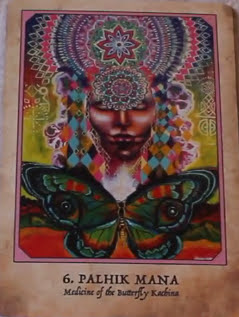 Earth Warriors Oracle